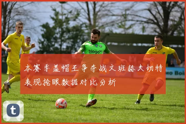 本赛季盖帽王争夺战文班赫夫切特表现抢眼数据对比分析